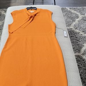 NY&C Eva Mendes Dress